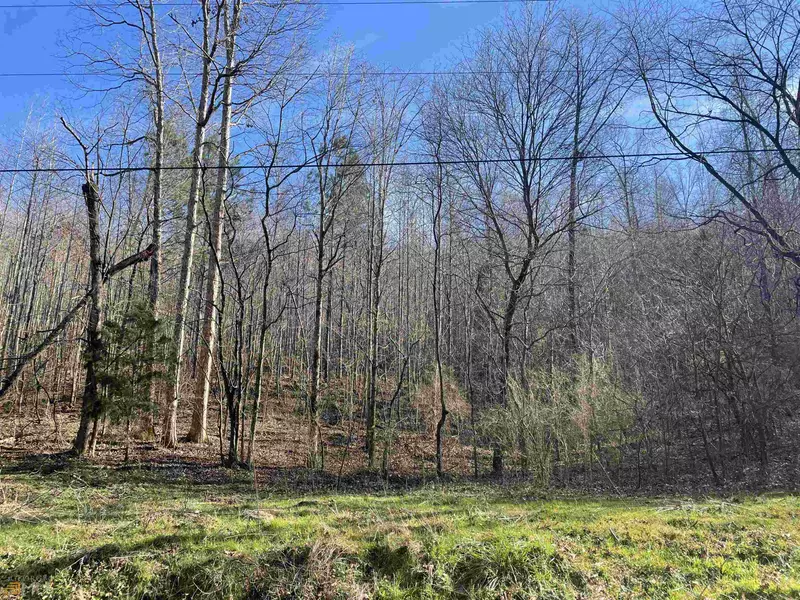 0 Rockfence RD, Adairsville, GA 30103