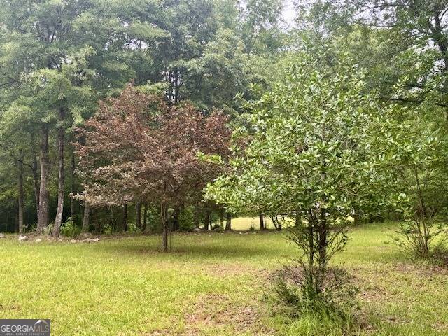 Hamilton, GA 31811,5072 Ga Highway 116