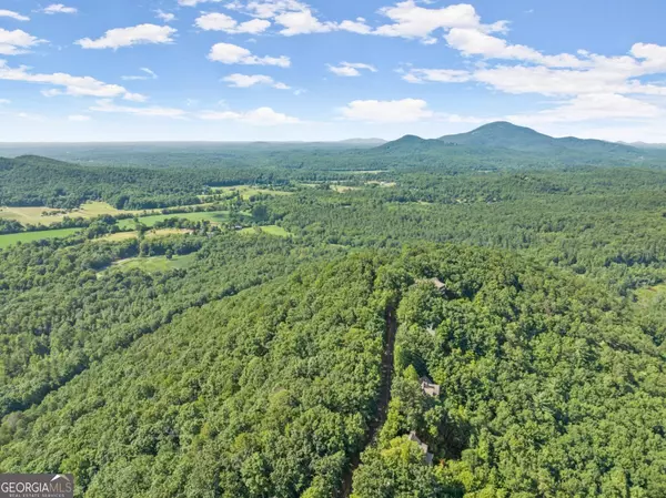 Sautee Nacoochee, GA 30571,45 Grimes Nose #Y45