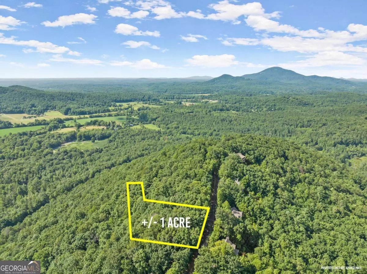 Sautee Nacoochee, GA 30571,45 Grimes Nose #Y45