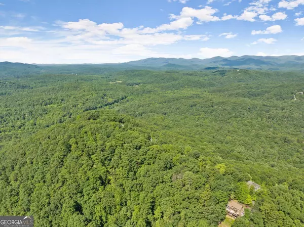 Sautee Nacoochee, GA 30571,45 Grimes Nose #Y45