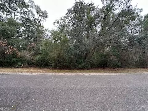 St. Marys, GA 31558,203 Cobia LN