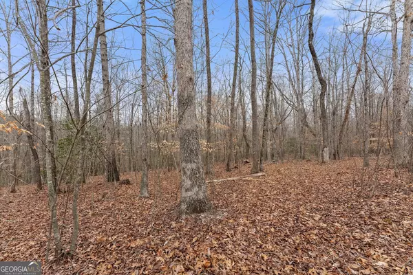 Cleveland, GA 30528,0 Samson WAY