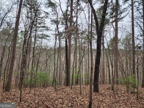 Talking Rock, GA 30175,LOT 1665 Hunter DR