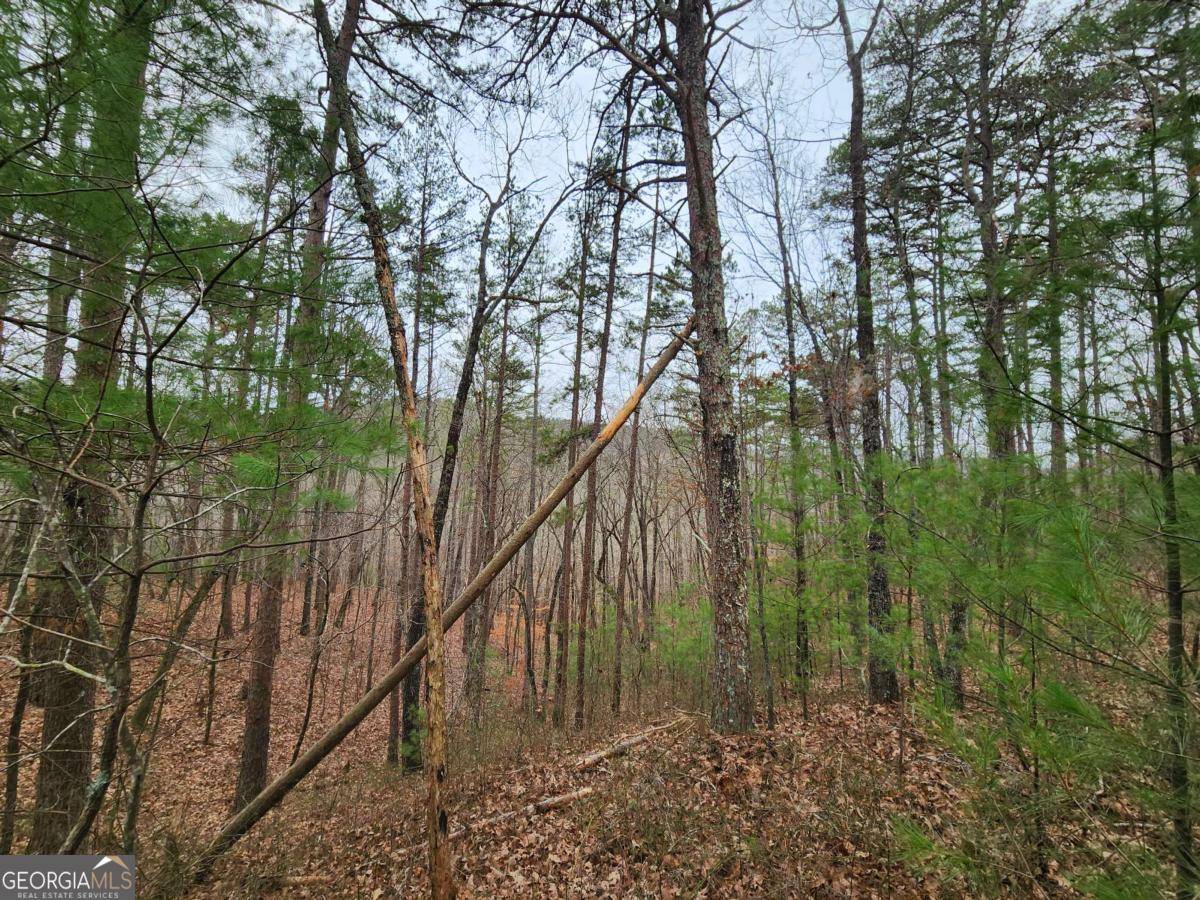 Talking Rock, GA 30175,LOT 1665 Hunter DR