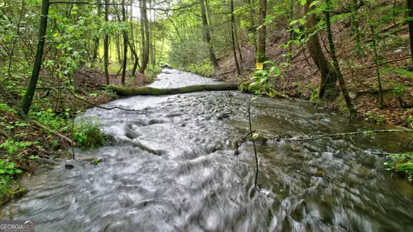 Blue Ridge, GA 30513,75 Laurel Creek RD
