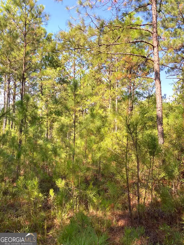 Cusseta, GA 31805,0 Firetower RD