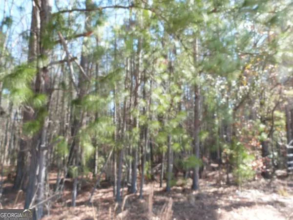 Ellabell, GA 31308,0 Highway 119 North