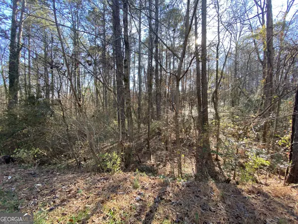 Canton, GA 30114,085 Belletta DR