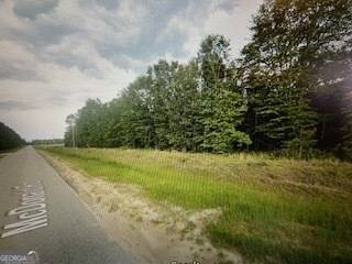 Sylvania, GA 30467,MCDONALD AND Plum RD