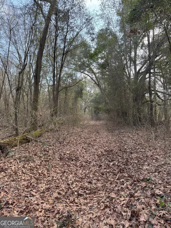 Pelham, GA 31779,0 Whispering Pines RD