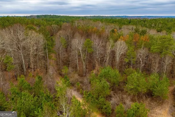 0 Bremen Mt Zion Rd Tracts 2A, 2B, Waco, GA 30182