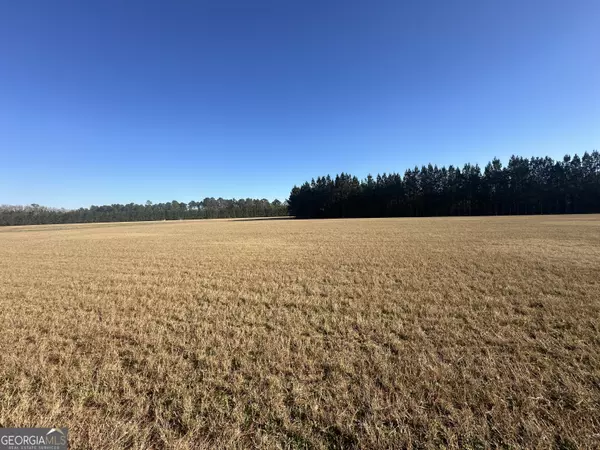 Brooklet, GA 30415,3276 Mud RD