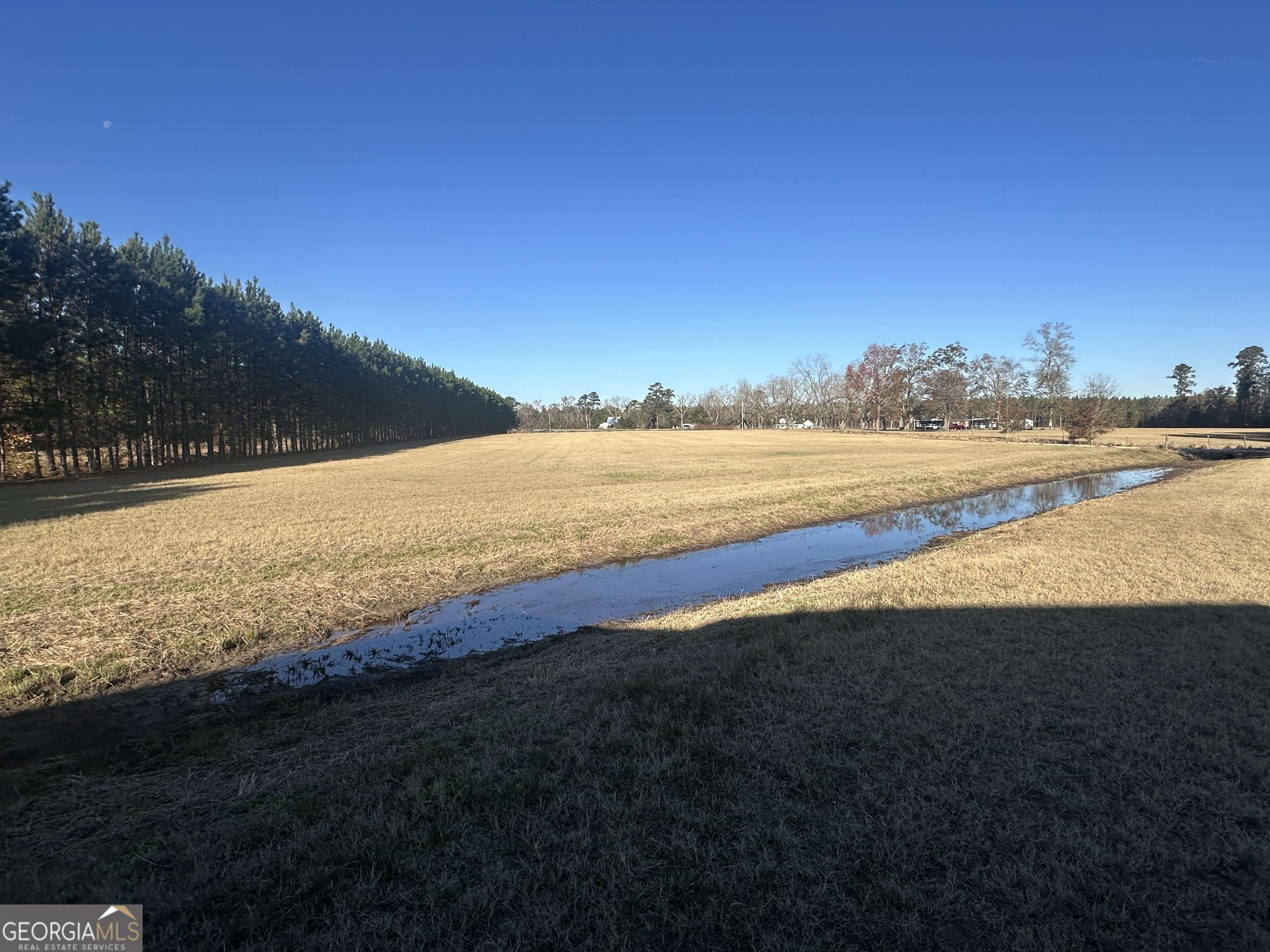 Brooklet, GA 30415,3276 Mud RD