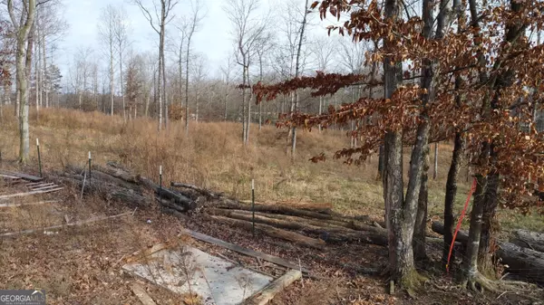 1.73 ACRES TR2 Garrison RD, Cornelia, GA 30531