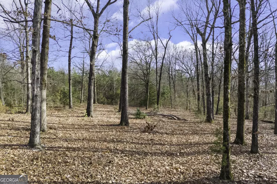 23 Hickory Log CIR, Eastanollee, GA 30538