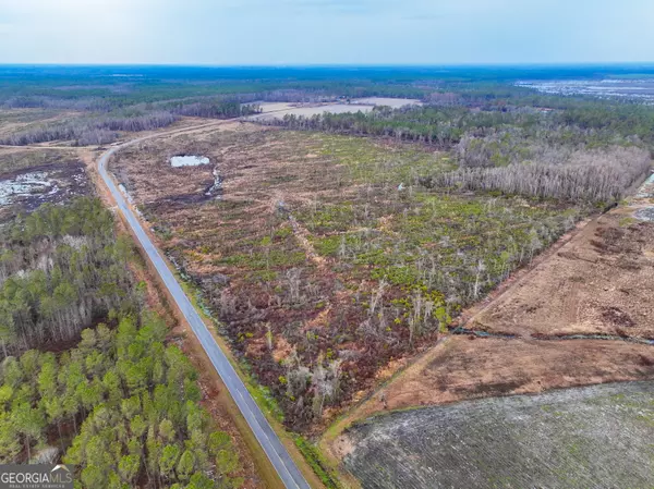 Pearson, GA 31642,0 Lazy Nine RD