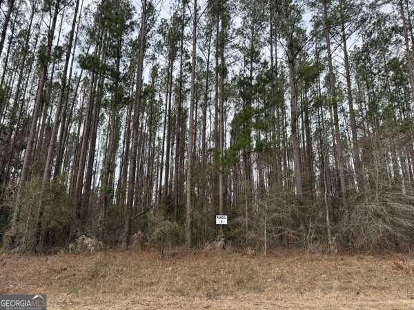 PARCEL 5 Southside DR, Lyons, GA 30436