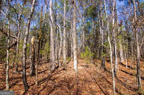 Hamilton, GA 31811,0 Kings Gap RD