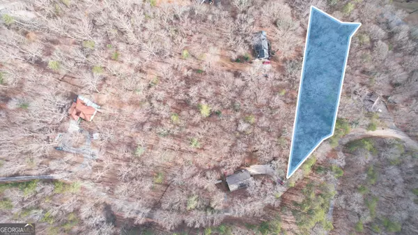 Cleveland, GA 30528,0 SKUNK HOLLOW RD