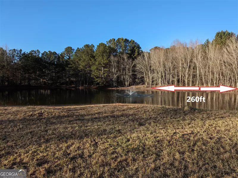 473 Mcdonough RD, Hampton, GA 30228