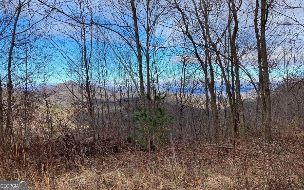 Bryson City, NC 28713,LOT G3 Georgianna LN