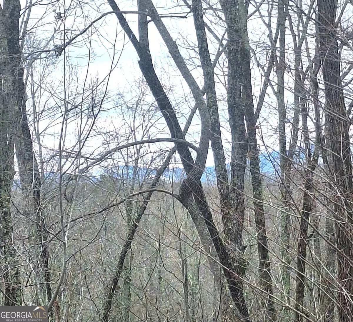 Ellijay, GA 30536,LOT 158 Trailwood DR