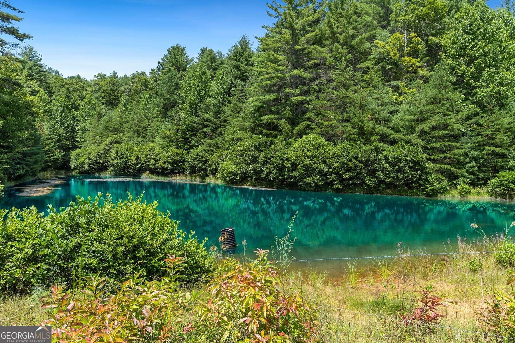 Mineral Bluff, GA 30559,80 AC Shangri La DR