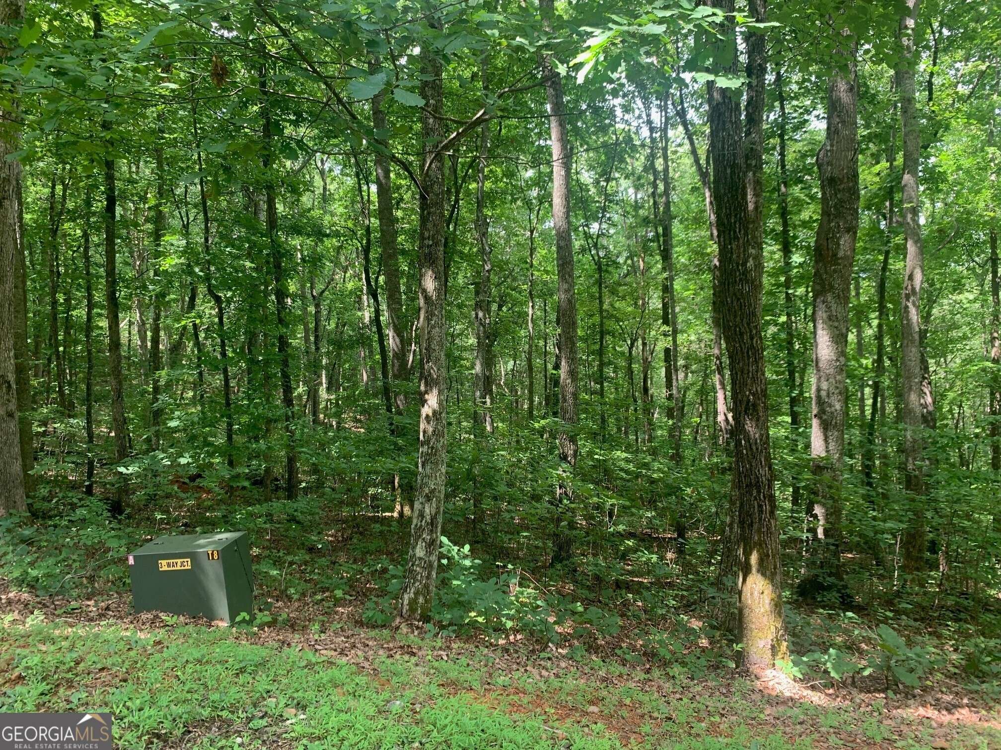 Young Harris, GA 30582,LOT 89 Broken Bow Trail