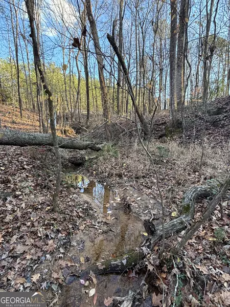 0 Lower River RD, Covington, GA 30016