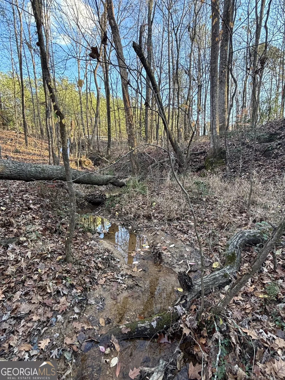Covington, GA 30016,0 Lower River RD