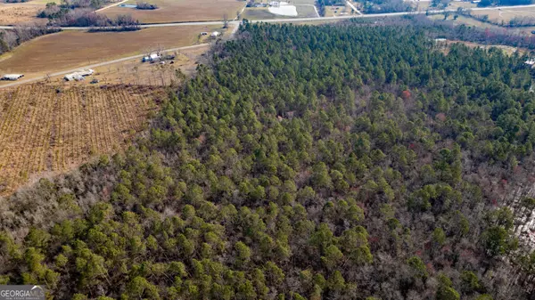 Baxley, GA 31513,0 Piney Bluff RD