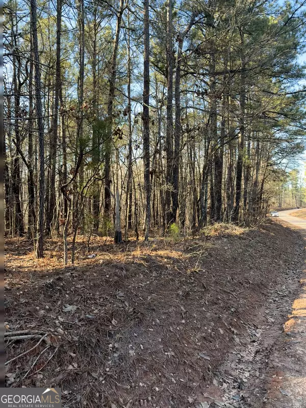 LOT 8 Beach RD, Greenville, GA 30222