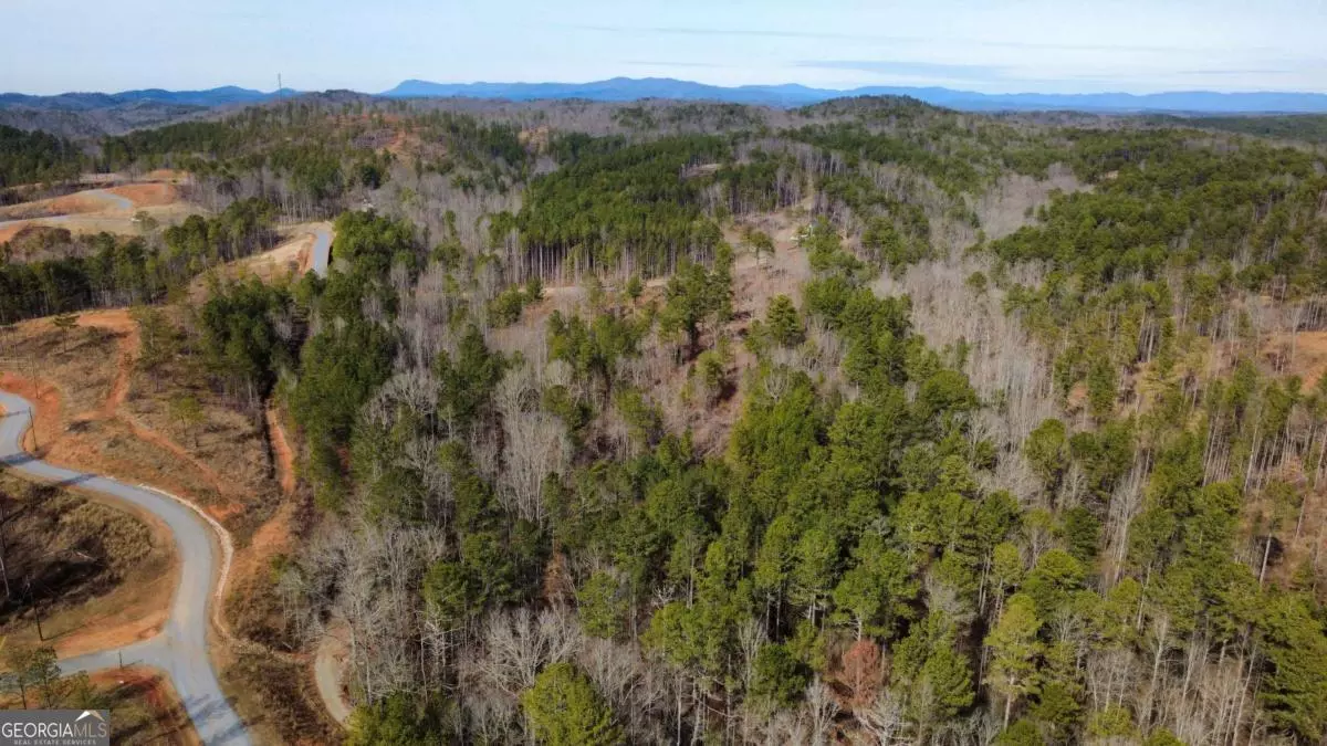 Talking Rock, GA 30175,LOT 108 Blalock Mountain RD