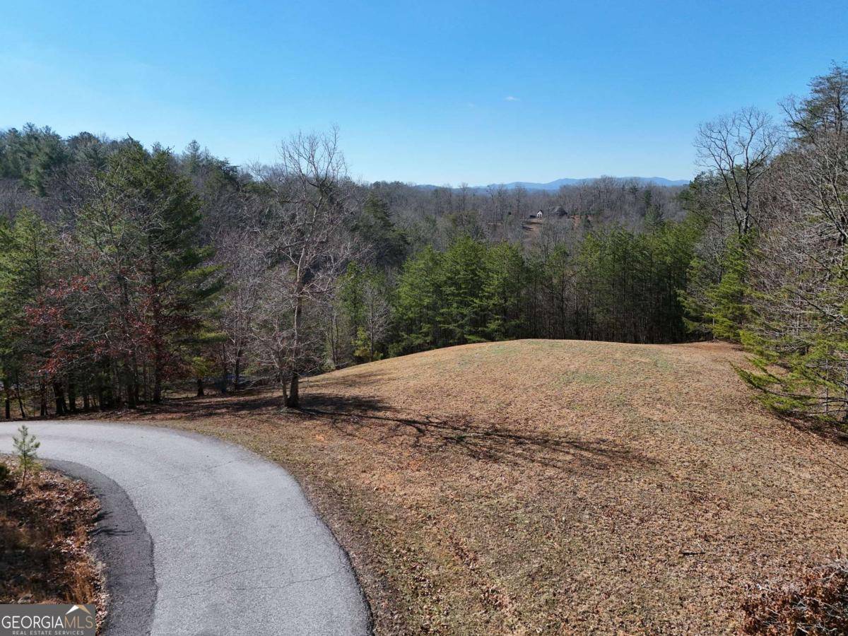 Mineral Bluff, GA 30559,LT 13/14 S Williamstown RDG