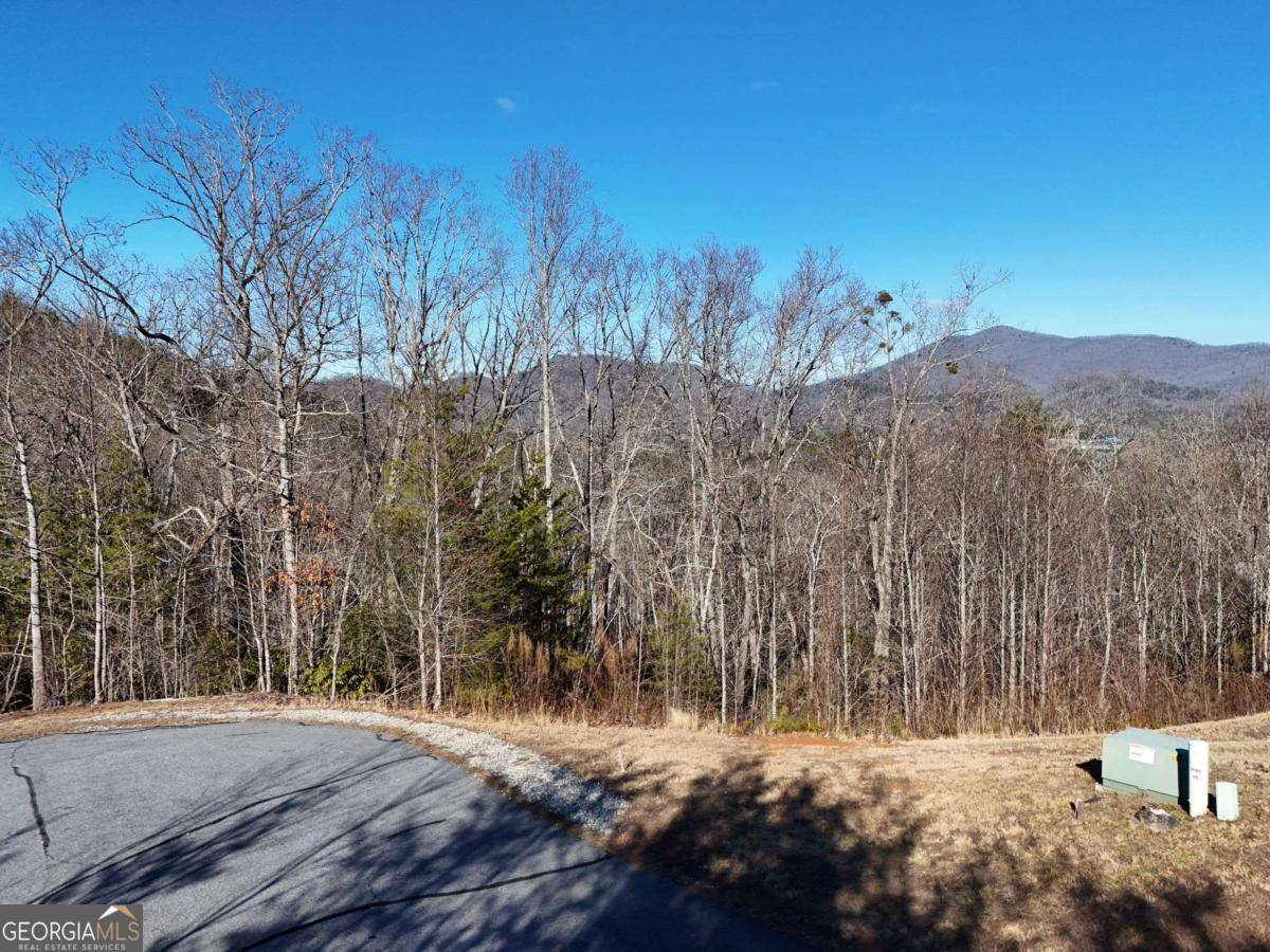 Hiawassee, GA 30546,2376 Haven Heights RD
