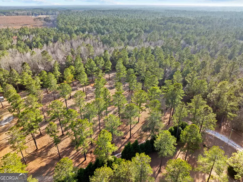0 Twin Forks RD, Pembroke, GA 31321