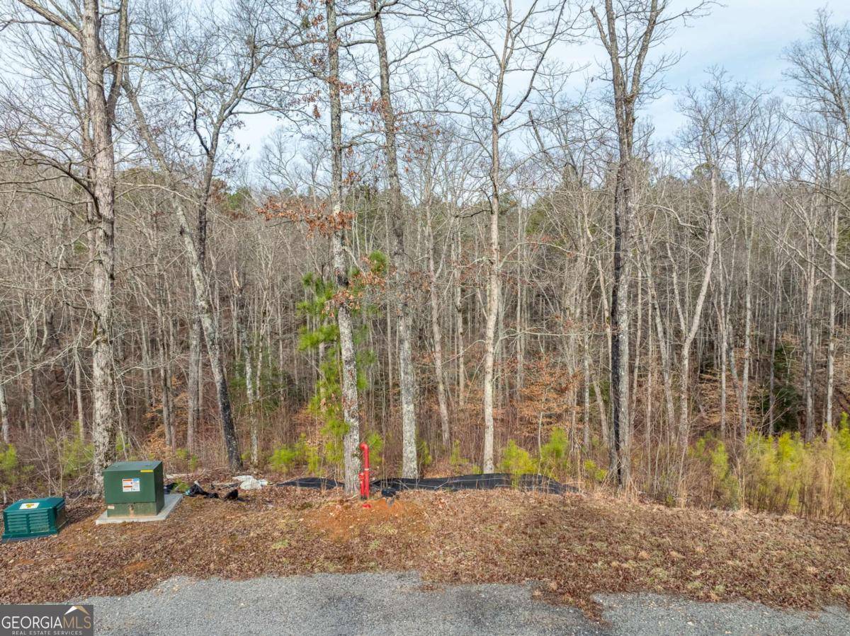 Ellijay, GA 30540,LOT 127 Red Hawk LN