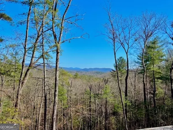 Blue Ridge, GA 30513,BILL CLAYPOOL D Lot 28