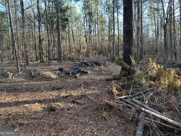 Roberta, GA 31078,TRACT 1 Us Highway 80 W