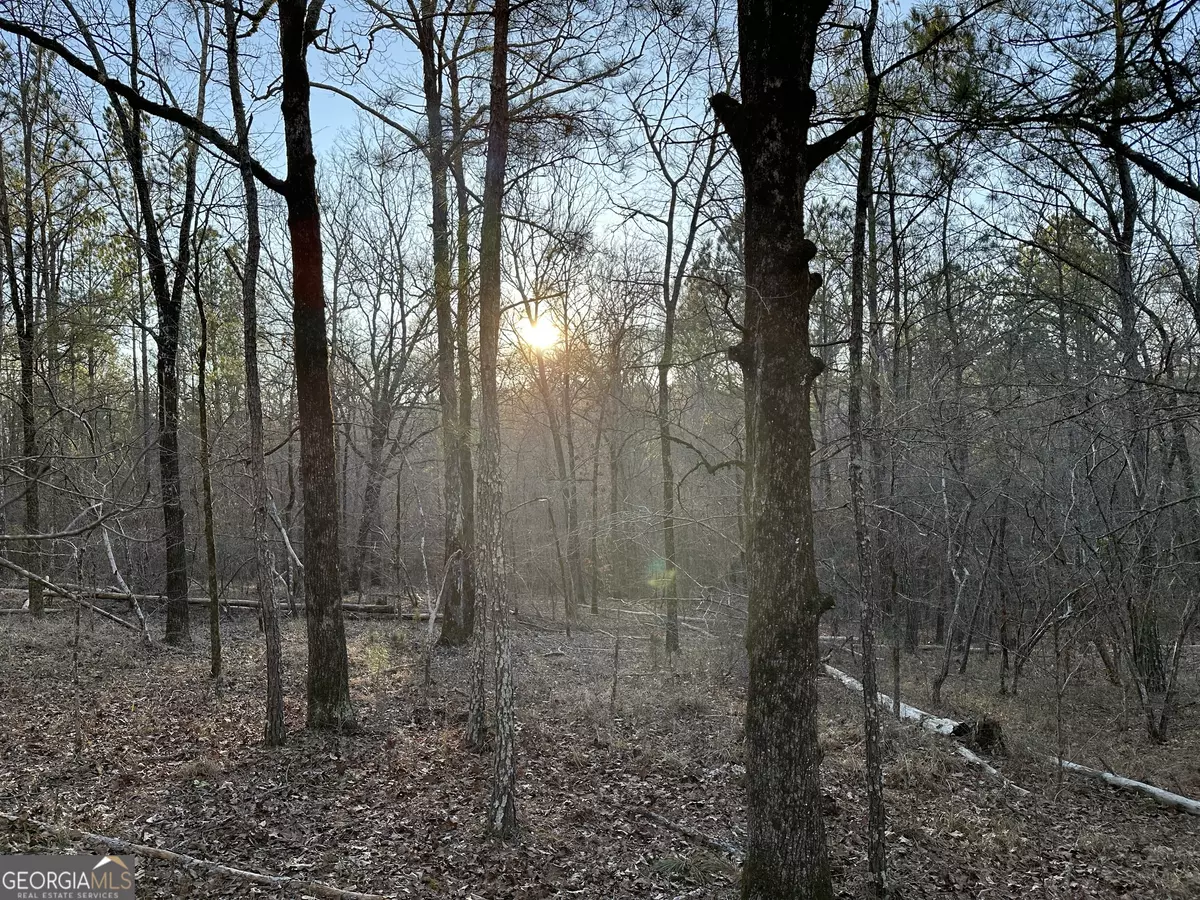 Roberta, GA 31078,TRACT 1 Us Highway 80 W