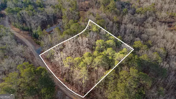 Ellijay, GA 30540,LT 157 Hayden CT