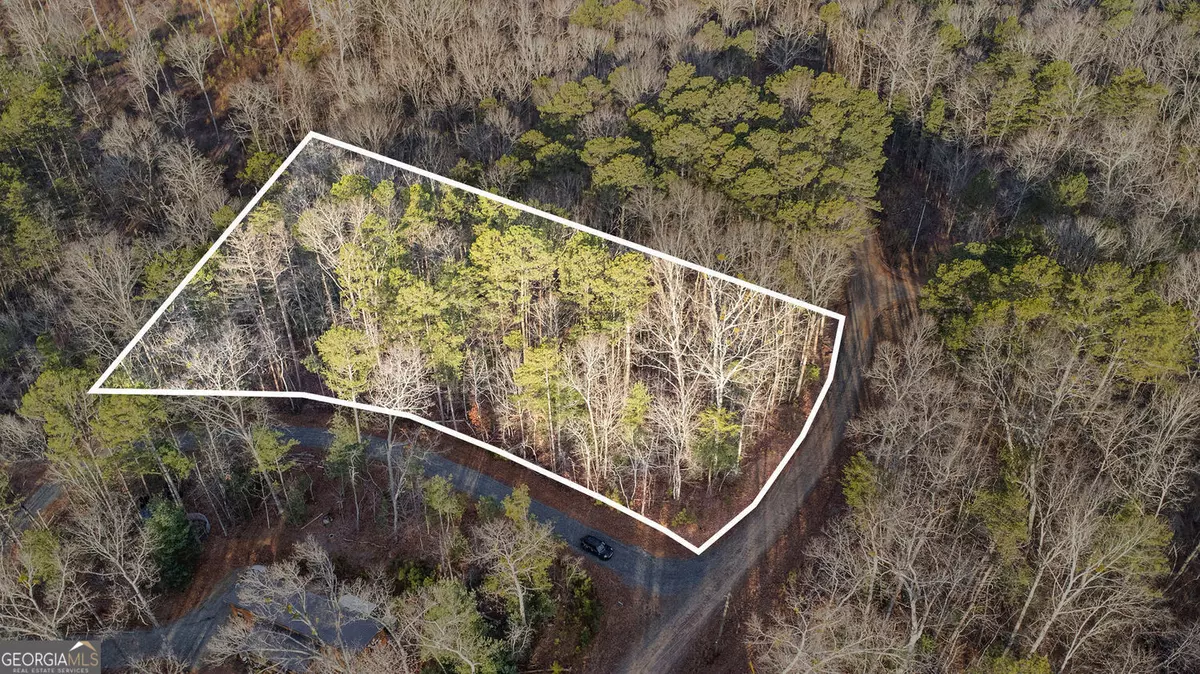 Ellijay, GA 30540,LT 157 Hayden CT