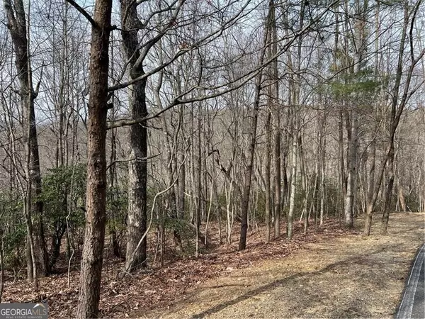 LOT 4 Monument Falls RD, Jasper, GA 30143