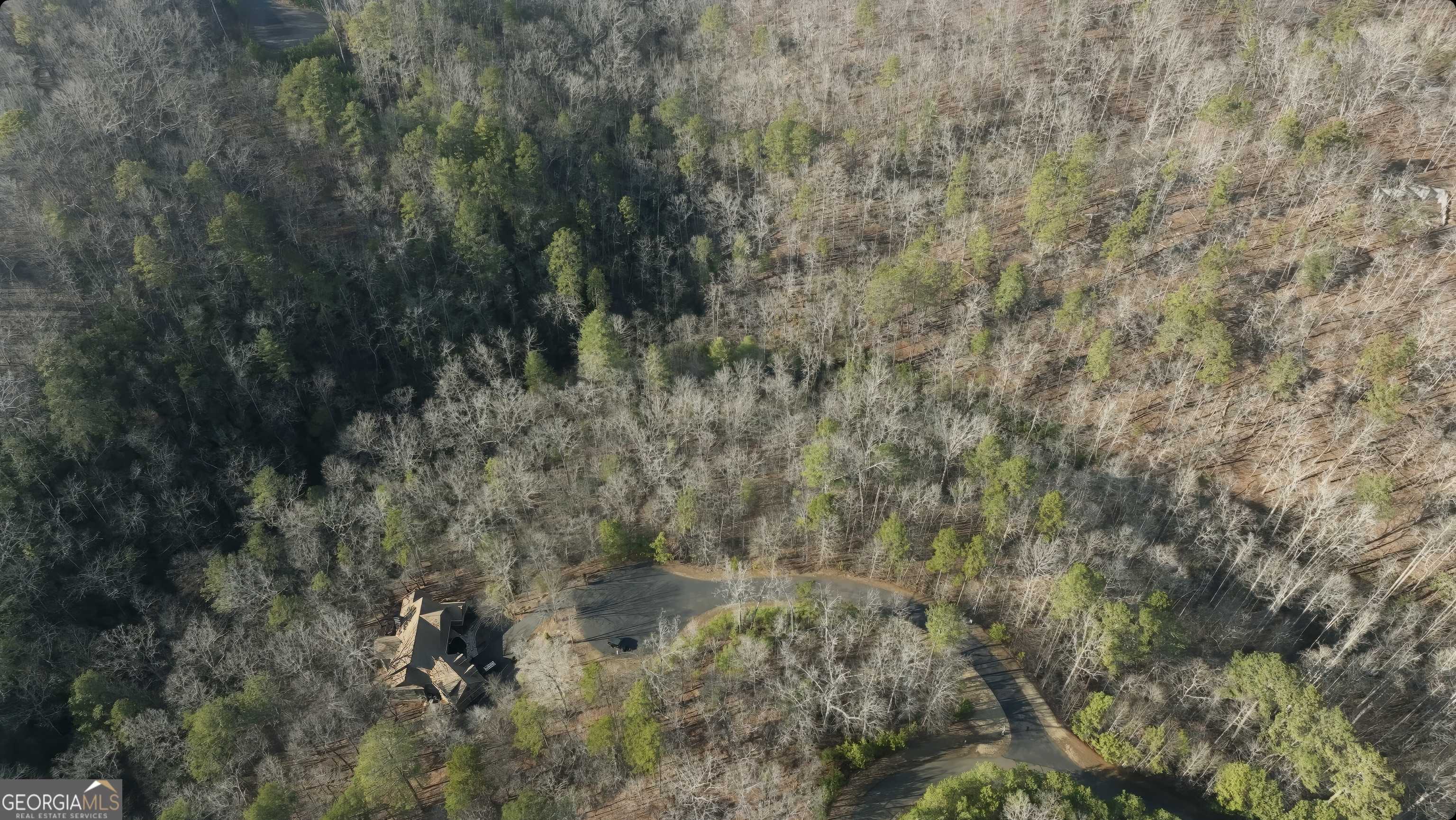 Ellijay, GA 30540,0 Tumbling Waters LN #100