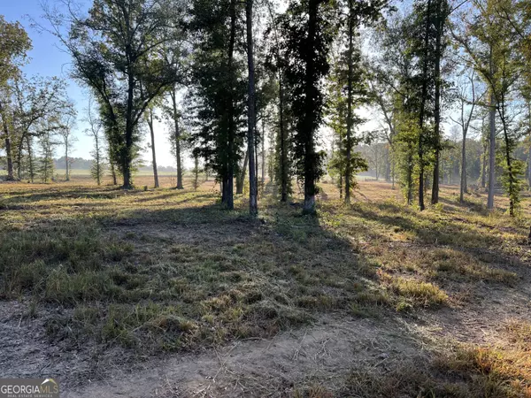 Barnesville, GA 30204,0 Walters Rd. - Lot 4