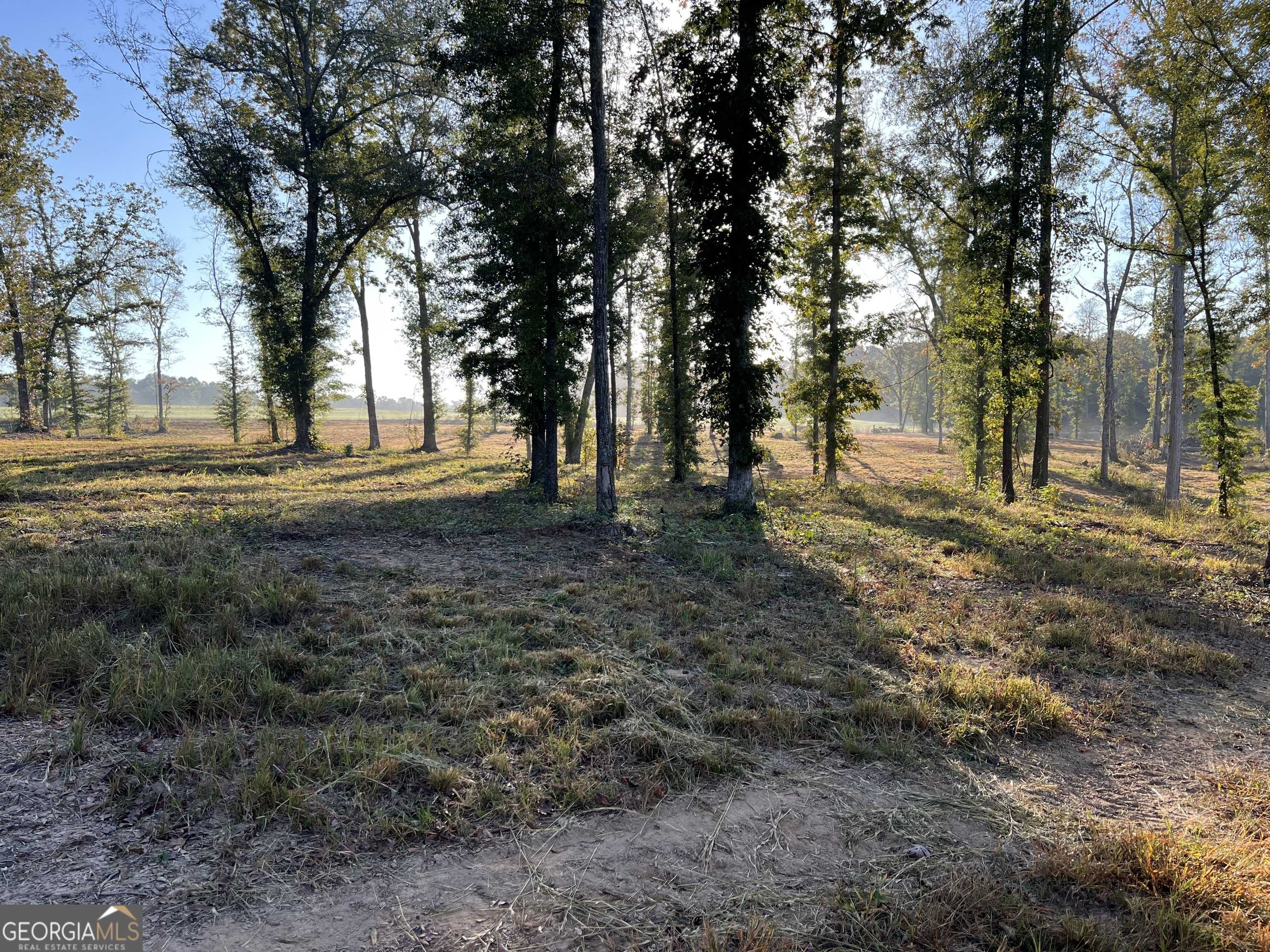Barnesville, GA 30204,0 Walters Rd. - Lot 5