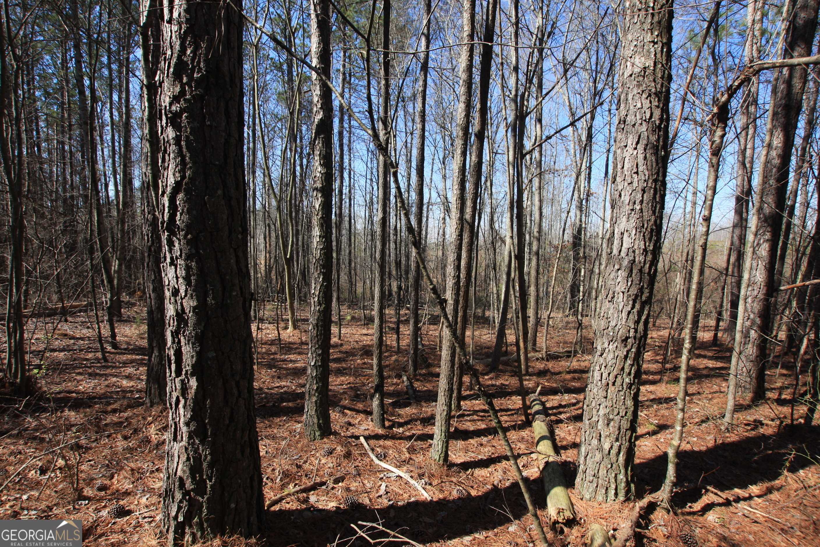 Tallapoosa, GA 30176,0 Highway 100