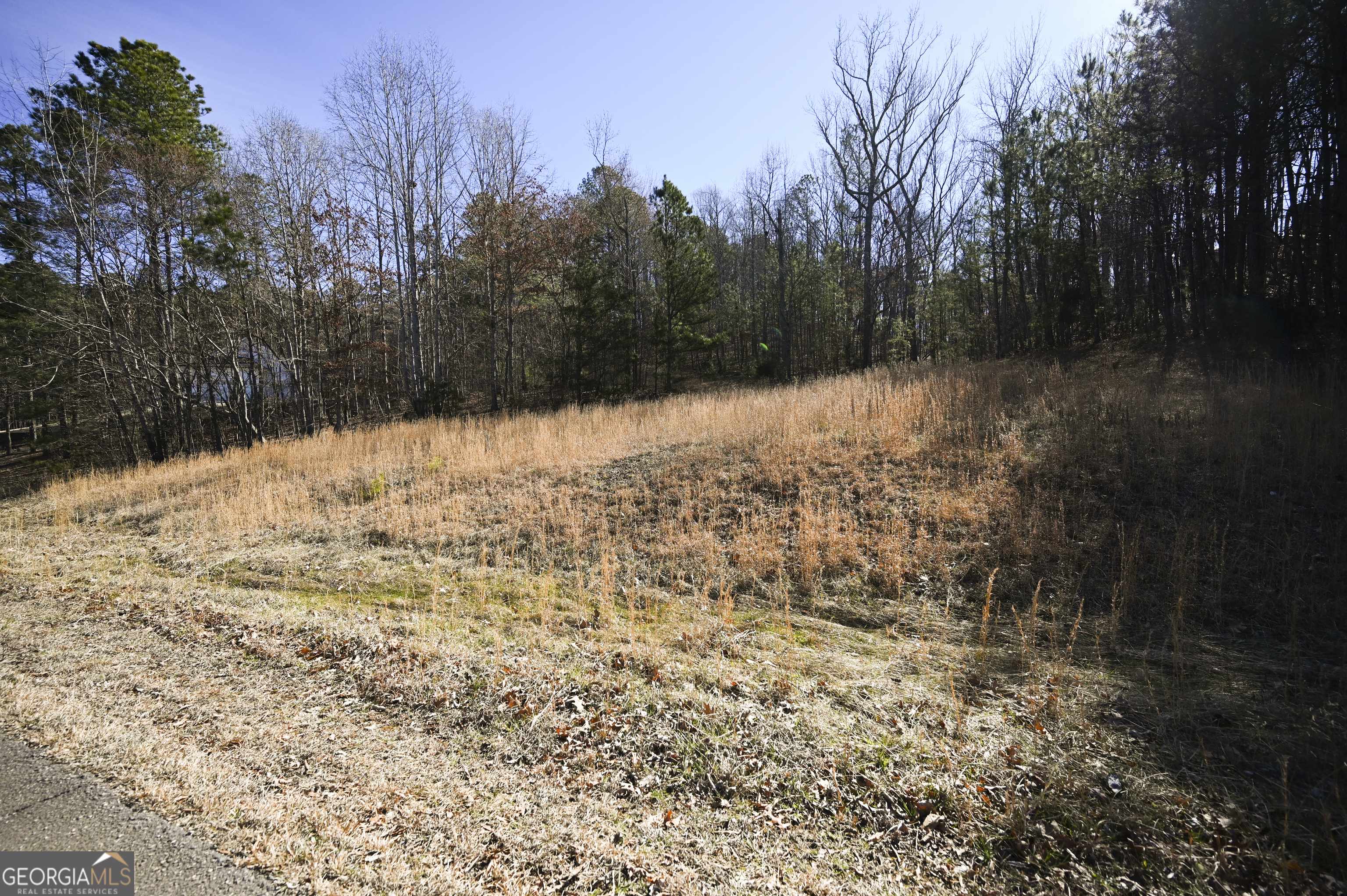 Rydal, GA 30171,29 Saratoga DR