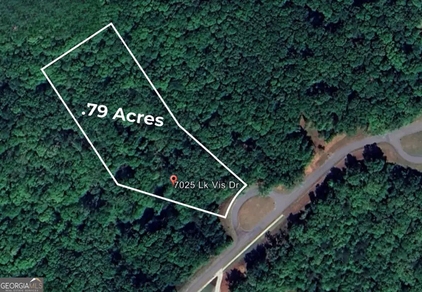 7025 Lake Vista DR, Dawsonville, GA 30534